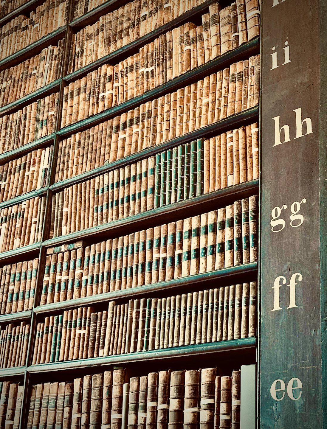 Lederne Bücher stehen ordentlich in einem Holzregal.